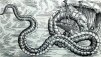 Midgard29