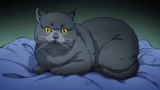 Звери 2 Сезон, Animals