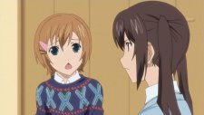Сёстры Минами OVA, Minami-ke OVA