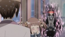 Одна из них моя сестра!, Nakaimo: My Little Sister is among Them!
