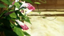Радужные светлячки: вечные летние каникулы, Niji-iro Hotaru: Eien no Natsuyasumi