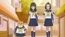 Сиба Инуко-сан, Shiba Inuko-san