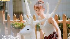 Мистер Лис и мисс Роза, Mr. Fox and Miss Rose
