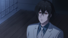 Дворянство, Noblesse