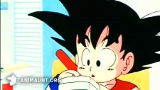 Драконий жемчуг, Dragon Ball