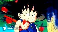 Драконий жемчуг, Dragon Ball