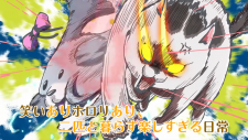 Весёлые дни с кошкой и собакой, Inu to Neko Docchi mo Katteru to Mainichi Tanoshii