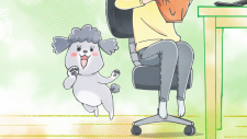Весёлые дни с кошкой и собакой, Inu to Neko Docchi mo Katteru to Mainichi Tanoshii