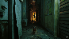 Stray, Stray