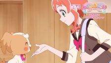 Чудесное хорошенькое лекарство!, Wonderful Precure!