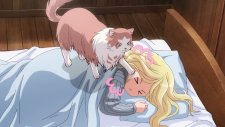 Кот и дракон, Neko to Ryuu