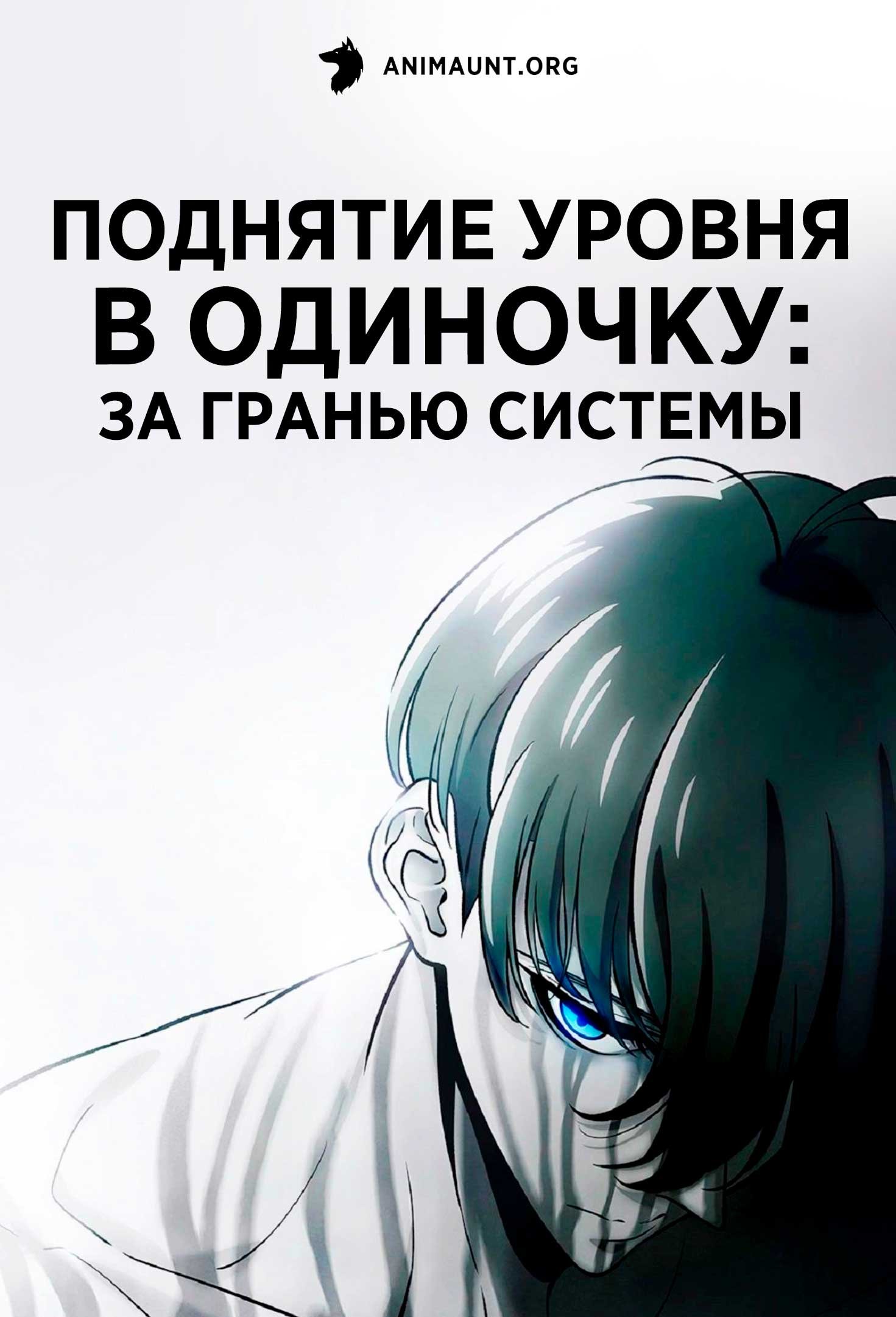 Поднятие уровня в одиночку: За гранью системы