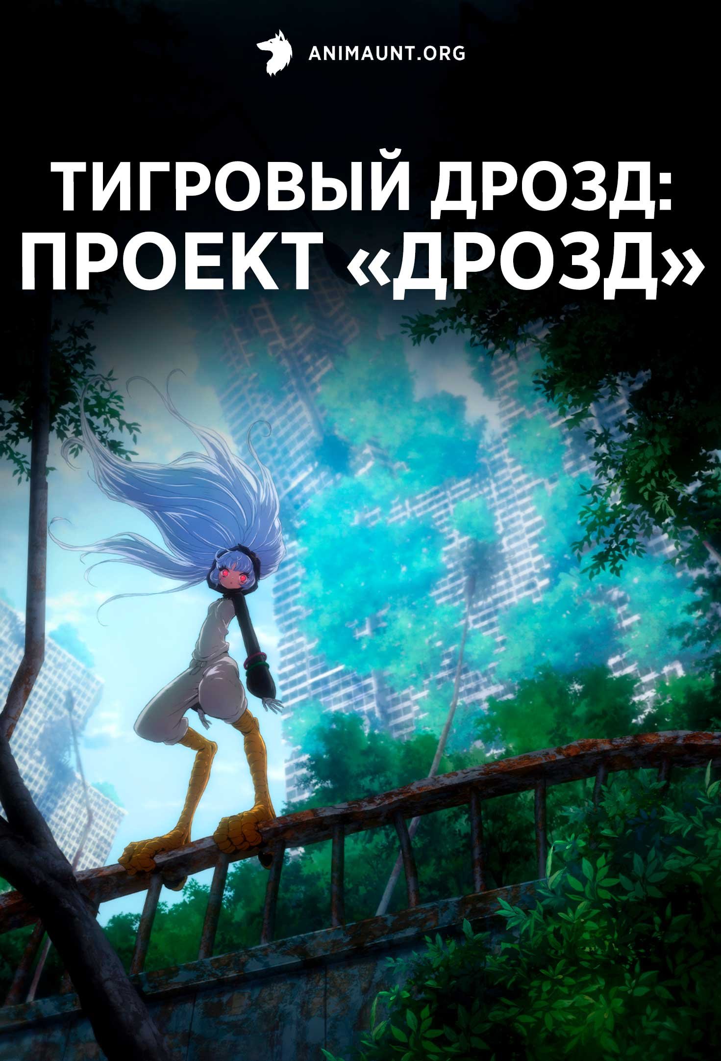 Тигровый дрозд: Проект «Дрозд»